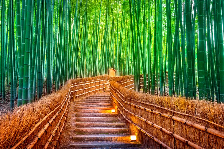 Kiyomizu-dera Temple